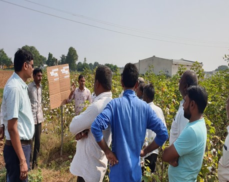 Picture of the author